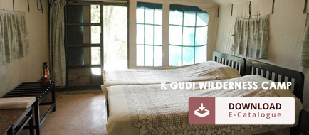 K GUDI Wilderness Camp Brochure